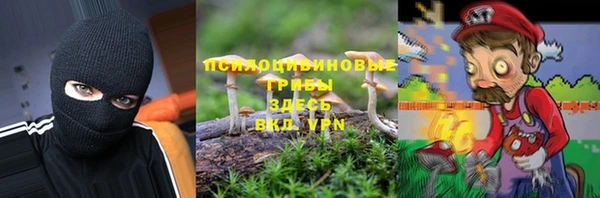твердый Алзамай