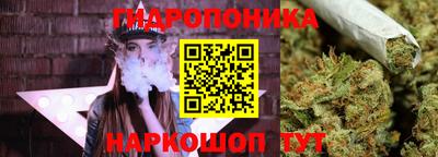 марихуана Гусиноозёрск