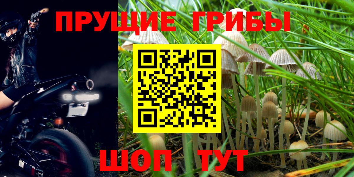 Галлюциногенные грибы прущие грибы  наркошоп  Тобольск  Вход с VPN  Псилоцибиновые грибы Cubensis 