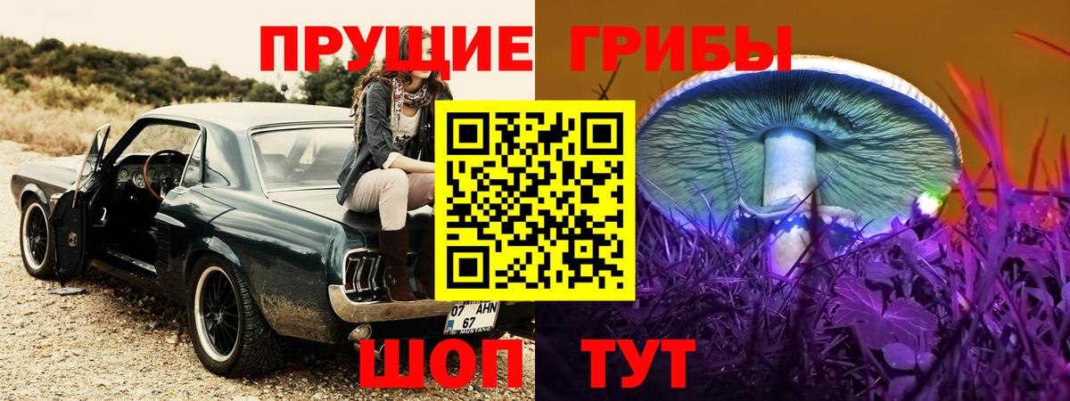 Галлюциногенные грибы Psilocybine cubensis Тобольск